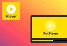 PotPlayer播放器240618(V1.7.22262)中文版纯净下载_PotPlayer中文站