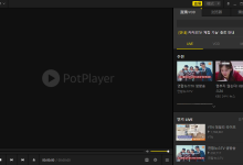 PotPlayer绿色免安装版2026免费下载:纯净无广告的便携本地播放器(v260622)-PotPlayer中文站