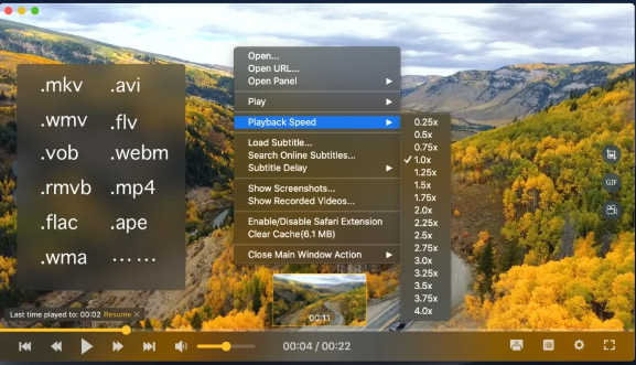OmniPlayer