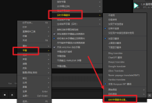 PotPlayer实时翻译指南:本地部署混元Hunyuan-MT,免费无延迟的实时AI字幕翻译-PotPlayer中文站