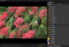 2026年5月最新免费PotPlayer直播源分享：全球及国内高质量IPTV4节点M3U下载-PotPlayer中文站